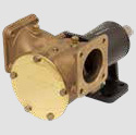 Johnson Raw Water Pumps