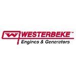 Picture of WB-056484