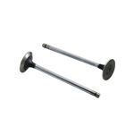 Picture of DS-R502369