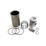 Picture of DS-RE19833