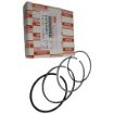 Isuzu IZ-8971412080 Piston Ring Set