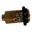 Yanmar YM-105582-49200 Thermostat