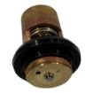Yanmar YM-105582-49200 Thermostat