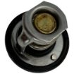 Yanmar YM-119717-49800 Thermostat