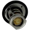 Yanmar YM-119717-49800 Thermostat