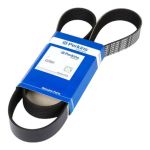 Perkins 4220661 Belt For 854E And 854F Diesel Engines