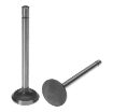 Perkins 910061 Exhaust Valve For Diesel Engines