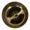 DS-3928639 Thermostat For Cummins Diesel Engines