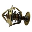 DS-3928639 Thermostat For Cummins Diesel Engines