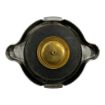 Detroit Diesel 6410879 Pressure Cap For Diesel Engines