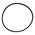 DS-3912473 Ring Seal For Cummins Diesel Engines