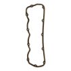 DS-8920271 Rocker Cover Gasket For 8.2L Detroit Diesel Engines