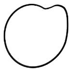 Perkins T412517 Gasket For 1206F-E70TTA Diesel Engines