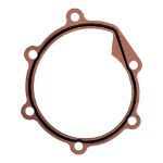 Westerbeke WB-036957 Fresh Water Pump Mounting Gasket