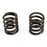 DS1763139 Cylinder Head Valve Spring for Caterpillar C6.6 engines.