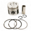 DS3154669 Piston Kit for Caterpillar 3044 engines.