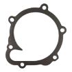 Deutz 4202975 Water Pump Flat Gasket