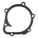 Deutz 4202975 Water Pump Flat Gasket