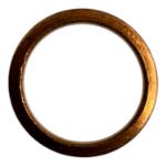 Deutz 1118673 Washer/Fuel Lines