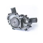 Perkins Water Pump