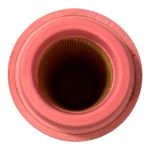 Deutz 1319257 Filter Insert for 1011 And 1012 Diesel Engines