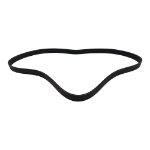 DS-3100141 Alternator Drive Belt For Cummins ISX And QSX Diesel Engines