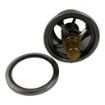 DS-201737 Thermostat For Cummins Engines