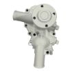 Northern Lights NL-145017320 Fresh Water Pump For M753K And M753W Generators