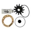 DS-25-12060 Impeller Kit for Northern Lights 753 and 843 Generators